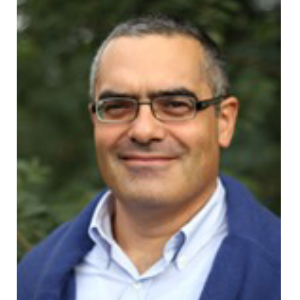 Prof. Andrea REALE